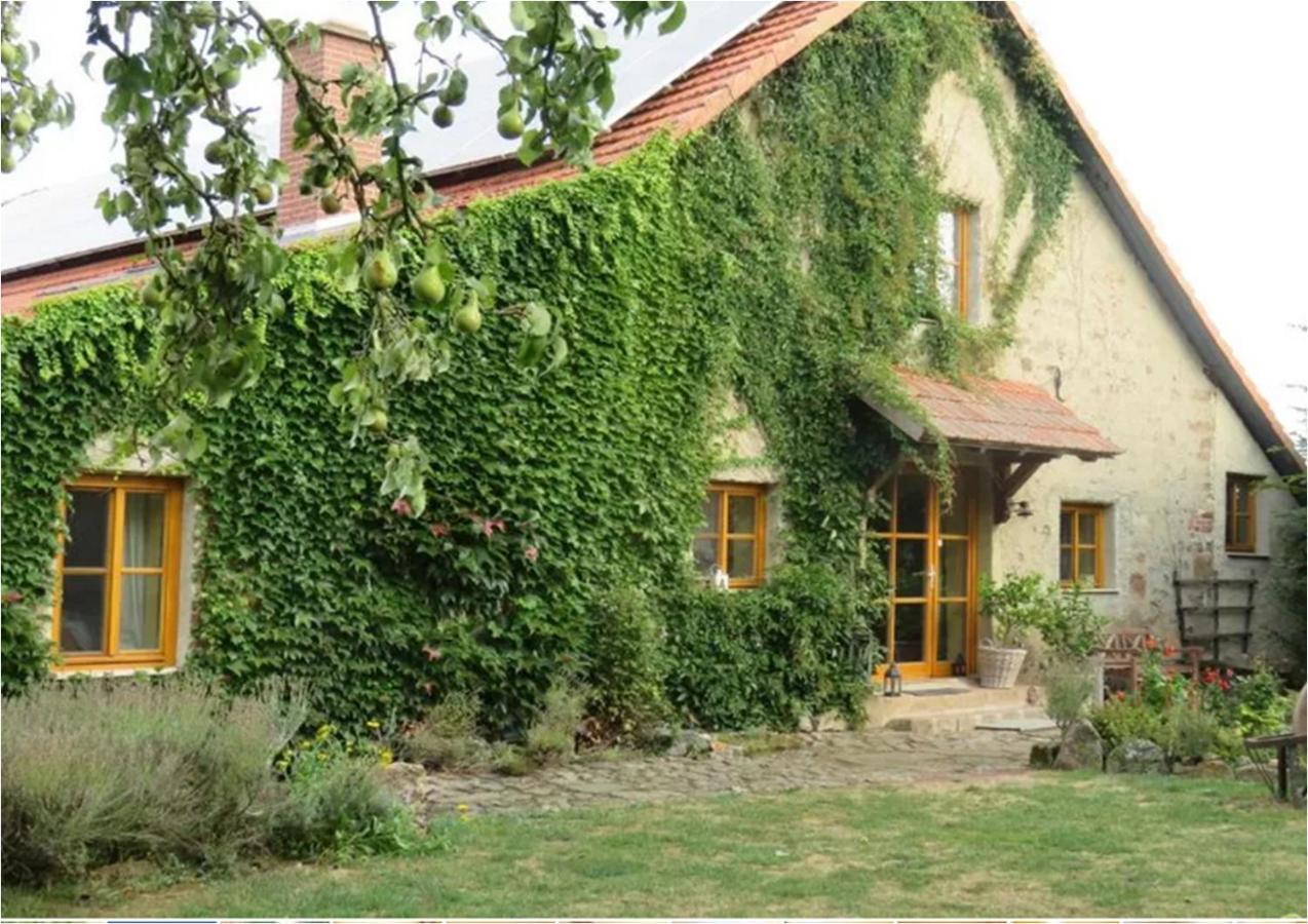 Haus Falkenhof Knullwald Luaran gambar